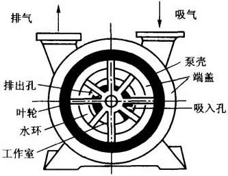 水環式真空泵