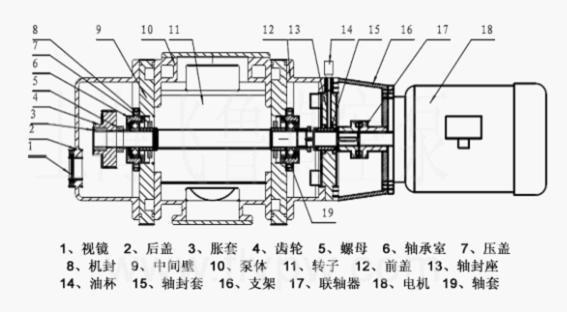 羅茨真空泵內部結構圖