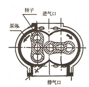 ZJ係列羅茨真空泵的結構