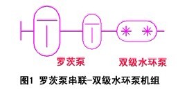 羅茨泵串聯雙級水環泵機組